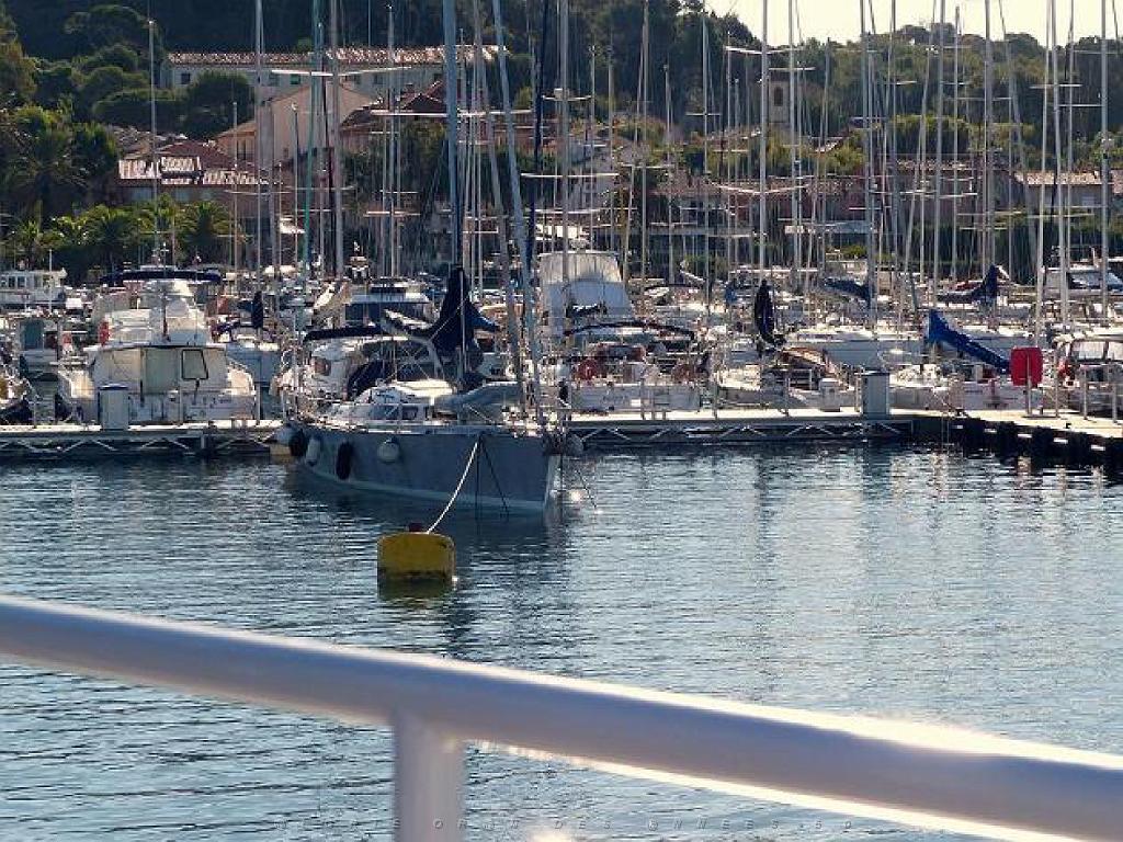 183 ILE DE PORQUEROLLES -1_000014.jpg